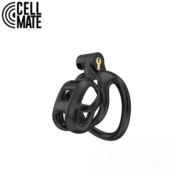 Guardian Chastity Cage