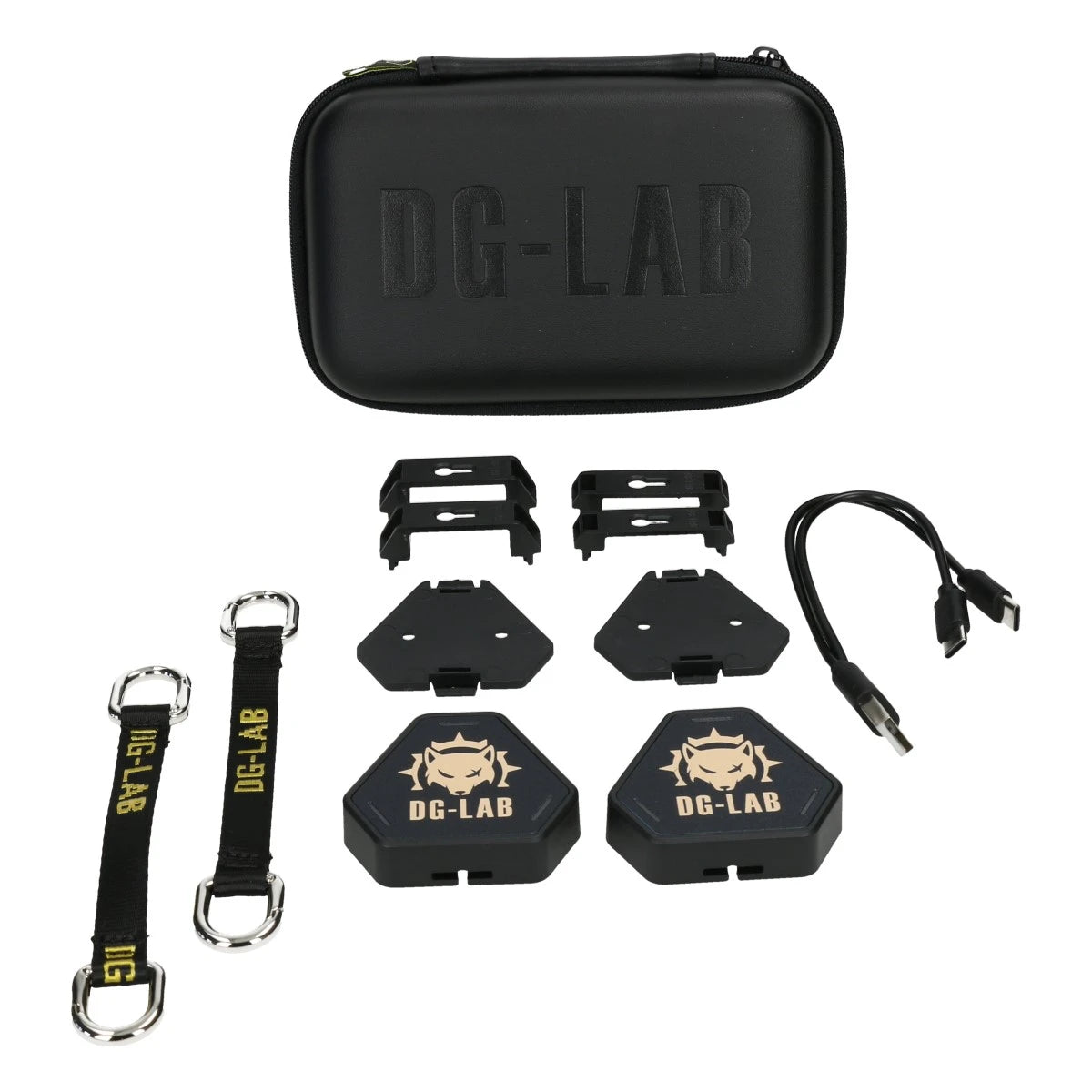 DG-Lab Pawprints